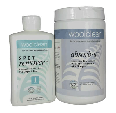 WoolClean wet spot remover and Absorb-It
